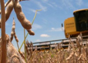 Jorge Scoppa, de la Federación de Contratistas, anticipa un año a cara de perro para negociar el servicio de cosecha con los productores