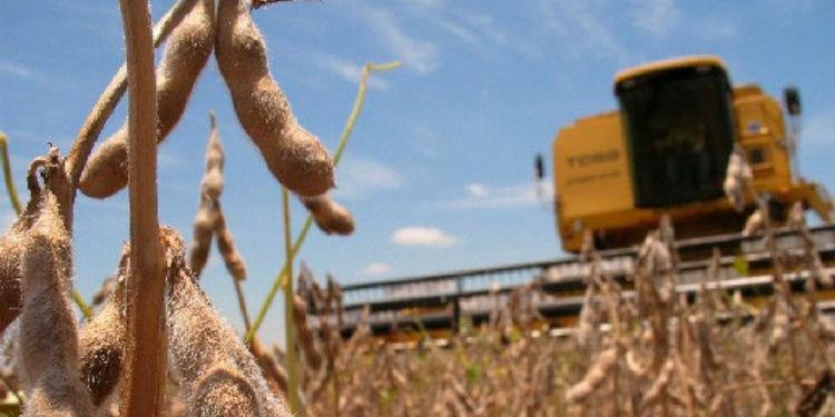 Jorge Scoppa, de la Federación de Contratistas, anticipa un año a cara de perro para negociar el servicio de cosecha con los productores