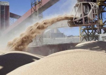 El efecto Vicentín: La corredora Guardati Torti también se declaró en cesación de pagos