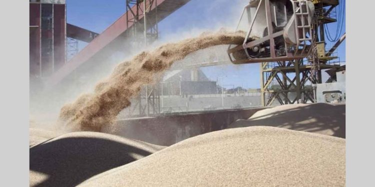 El efecto Vicentín: La corredora Guardati Torti también se declaró en cesación de pagos