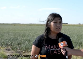 La reforma agraria de Grabois explicada por una chica de 25 años: “No es apropiarse de la tierra sin ningún costo, pero sí ayudarnos para que podamos acceder a ella”