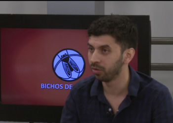 Héctor Medina, del Senasa: “El daño de una manga de langostas de 1 kilómetro cuadrado equivale a lo que comen 2 mil vacas en un día”