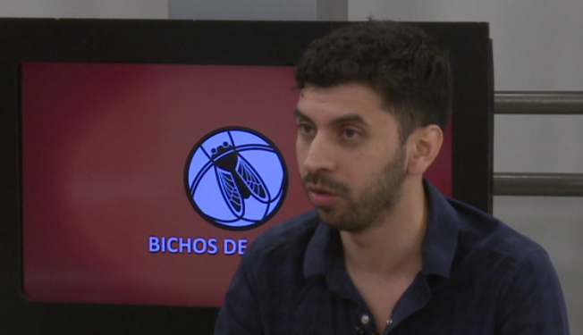 Héctor Medina, del Senasa: “El daño de una manga de langostas de 1 kilómetro cuadrado equivale a lo que comen 2 mil vacas en un día”