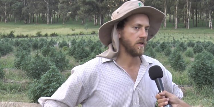Juan Ardissone: El argentino que cumplió su sueño de producir cannabis medicinal en Uruguay