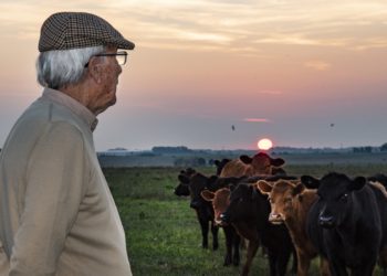 Juan Pablo Oppen hace ganadería agroecológica en Gualeguaychú: “Hoy estoy con la misma rentabilidad que cuando arrendaba los campos”