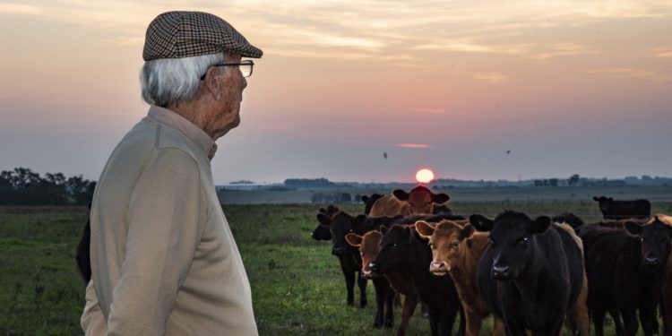 Juan Pablo Oppen hace ganadería agroecológica en Gualeguaychú: “Hoy estoy con la misma rentabilidad que cuando arrendaba los campos”