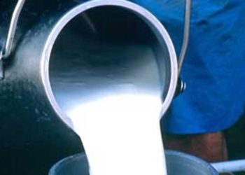 Crónicas robadas: ¿Qué capacidad de secado de leche tiene la Argentina?