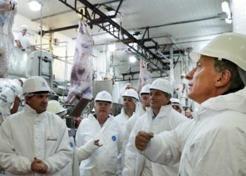 Huérfana de Macri, la Mesa de las Carnes volvió a reunirse y mostró vocación para trabajar con el nuevo gobierno