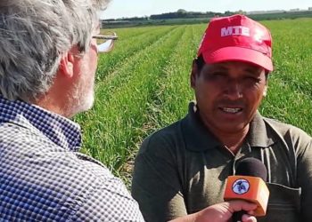 ¿Por qué hace llorar la cebolla? Un productor alineado con Juan Grabois nos cuenta las desdichas de los pequeños cebolleros