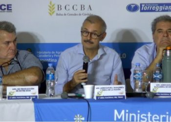 La cadena del trigo dice que hay acuerdo para evitar una intervención, pero el gobierno no la descarta si hubiera “inseguridad alimentaria”