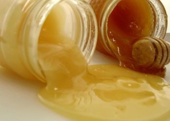 Una declaración mundial advierte que el fraude de la miel es generalizado y puede llegar a acabar con la apicultura