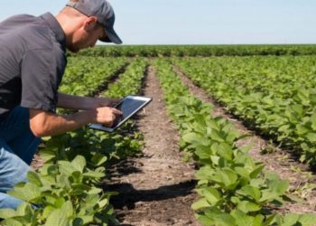 ¿Sigue siendo rentable el negocio agrícola? Federico Bert de CREA asegura que de 250 partidos con soja, 203 quedan cerca o por debajo de la línea de flotación