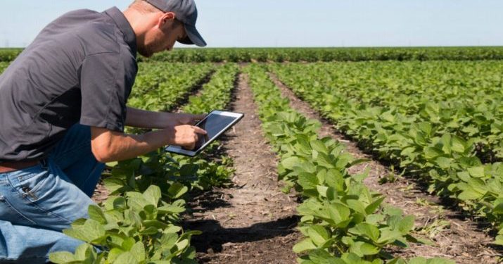 ¿Sigue siendo rentable el negocio agrícola? Federico Bert de CREA asegura que de 250 partidos con soja, 203 quedan cerca o por debajo de la línea de flotación