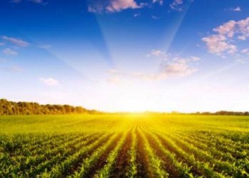 El peso del agro en 2018: 55% de las exportaciones, 11% del empleo y el 10% del PBI