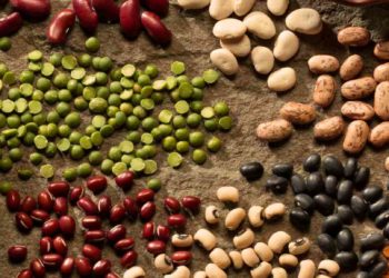 Porotos: cuando por falta de mercados, crecer en área es un problema y no una solución