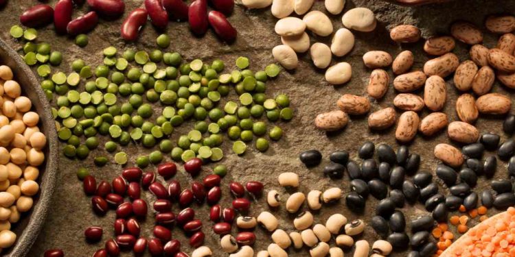 Porotos: cuando por falta de mercados, crecer en área es un problema y no una solución