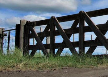 Trabajo hay, el problema es encontrarlo: Lanzan una aplicación para vincular a quien lo busca con quien lo ofrece