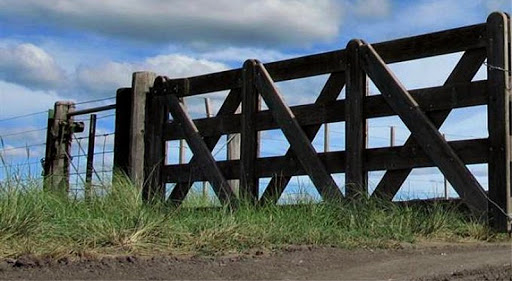 Trabajo hay, el problema es encontrarlo: Lanzan una aplicación para vincular a quien lo busca con quien lo ofrece