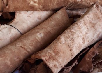 Curtido orgánico de cueros: más barato, más saludable y permite usar algo que se descartaba