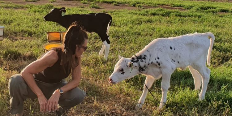 Bichas de Campo: “Siempre me llevé mejor con los animales que con las personas”, dice Andrea Passerini, una tambera de raza