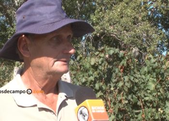 Humberto Tagarelli, médico y viñatero, vive una realidad invertida: “Si no fuera por la jubilación, yo no podría seguir produciendo”