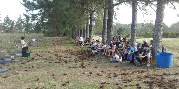 La bella historia de vida de Graciela Taylor: Entrerriana por elección y ejemplo de mujer rural