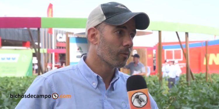 Juan Farinati, de Bayer, apuesta todas las fichas a la agricultura digital: “En soja y maíz la brecha entre el rinde potencial y el real es del 40%, y eso es manejo”