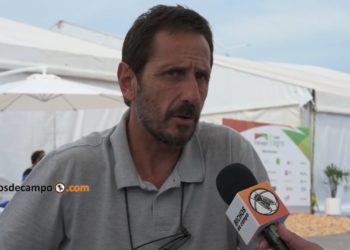 Pablo Cattani es un fanático de la tecnología ganadera: “La vaca se preña por la boca; entonces para mejorar los índices hay que hacer forrajes conservados”