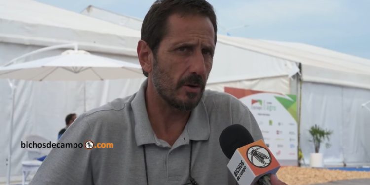 Pablo Cattani es un fanático de la tecnología ganadera: “La vaca se preña por la boca; entonces para mejorar los índices hay que hacer forrajes conservados”