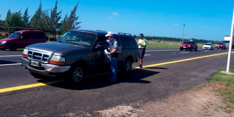 Advierten a los turistas sobre el HLB, la enfermedad que amenaza a la citricultura