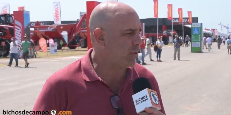 Sebastián Senesi advierte que el agro está estancado: “Es como tener a Messi y jugar con el pasto alto y la pelota desinflada”