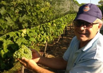 Los Ianni se animaron a todo: a vivir en el campo y a elaborar vinos (¡en Entre Ríos!)