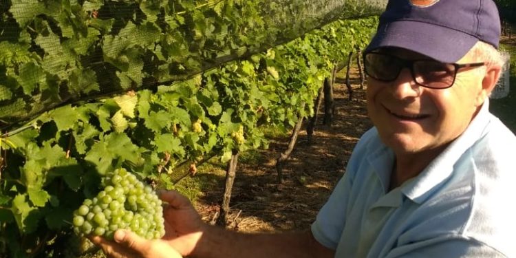 Los Ianni se animaron a todo: a vivir en el campo y a elaborar vinos (¡en Entre Ríos!)