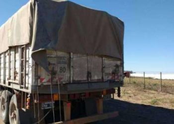 Ya son 80 los municipios rebeldes que no acatan las excepciones y el ingreso de camiones a puerto cayó 50%