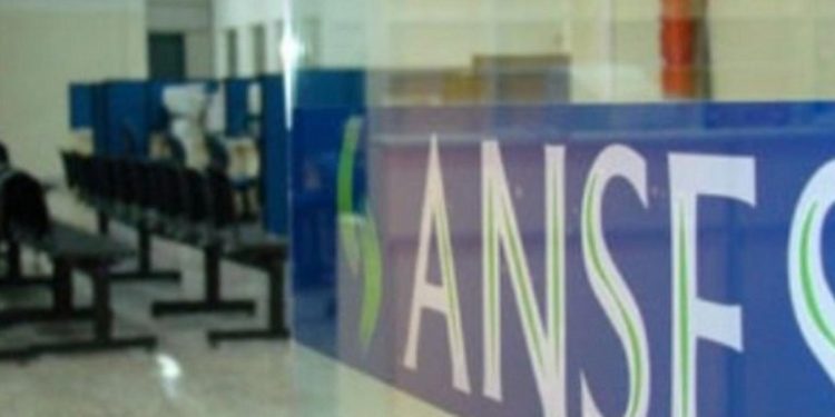 ¿Qué necesita un trabajador migrante (el viejo y querido golondrina) para recibir los 10 mil pesos de ayuda?