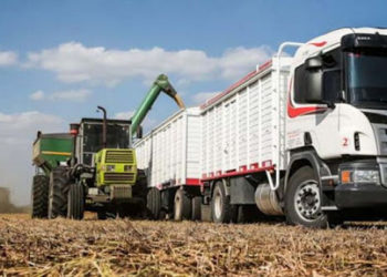 El agro en tiempos de cuarentena: Las cerealeras denuncian que hay unos 70 municipios “rebeldes” que impiden el tránsito de camiones