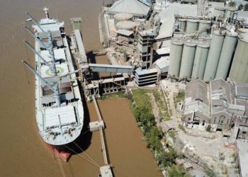 Un gremio clave teme por la salud de los trabajadores y pide suspender la actividad en acopios y puertos cerealeros