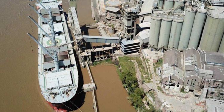 Un gremio clave teme por la salud de los trabajadores y pide suspender la actividad en acopios y puertos cerealeros