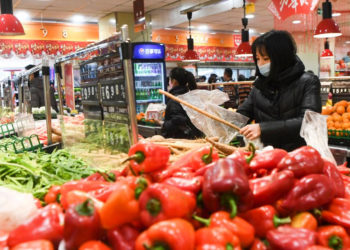 En contra de lo que propuso Samid, La OMC, la FAO y la OMS piden velar por la circulación de alimentos
