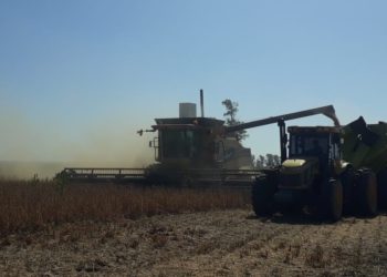 Puntano culiau: Cartez denuncia el “feudalismo” de San Luis, que no deja entrar cosechadoras