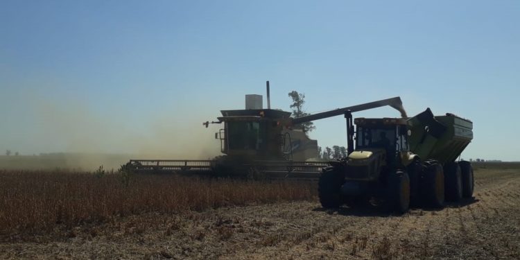 Puntano culiau: Cartez denuncia el “feudalismo” de San Luis, que no deja entrar cosechadoras