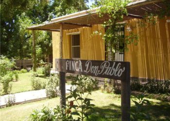 Para zafar de la crisis del vino, Gladys comenzó a alquilar para turismo la vieja finca de sus abuelos viñateros