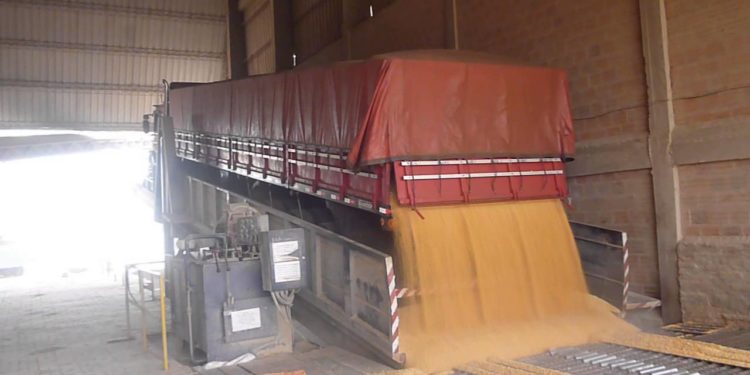 Covid-19: Lanzan un protocolo para evitar que el virus se propague en el traslado de la cosecha