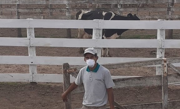 La experiencia de la cooperativa Lehmann: En cuarentena, los remates de hacienda se hacen por teléfono e Internet