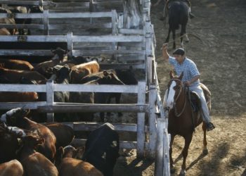 Intervengo pero no intervengo: En medio de la crisis sanitaria, el gobierno comenzó a manosear el mercado de la carne