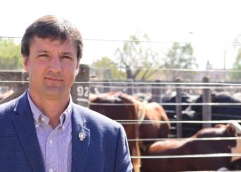 Desde Salta, Lucas Elizalde avisa: “La soja se produce en quebranto, porque no se cubren los costos indirectos”