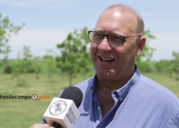 El agro en tiempos de cuarentena: Desde Ipesa avisan que la oferta de silobolsas será suficiente