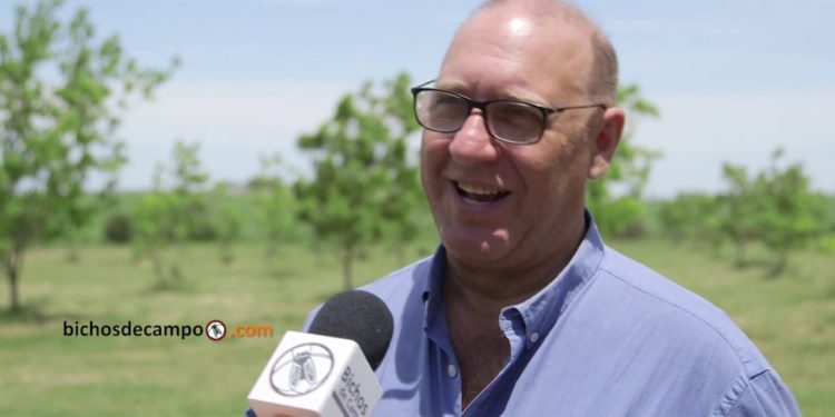 El agro en tiempos de cuarentena: Desde Ipesa avisan que la oferta de silobolsas será suficiente