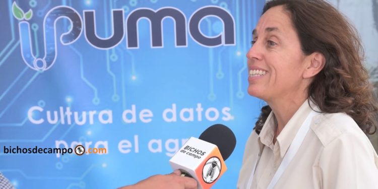 Inés Di Nápoli: “Los datos son los activos más valiosos de un productor”, pero si no se leen bien no sirven de nada