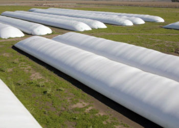 El agro en tiempos de cuarentena: Las agronomías venden por teléfono,.. y explotó la demanda de bolsones